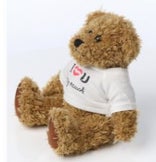 Nalle paita omalla kuvalla ja tekstill&auml;